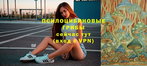 мяу мяу мука Баксан