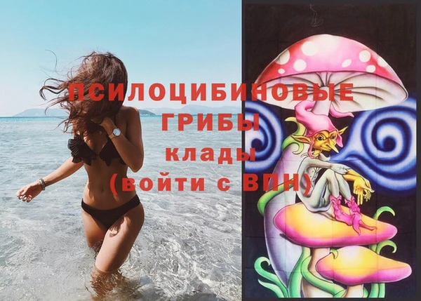 дмт Иннополис